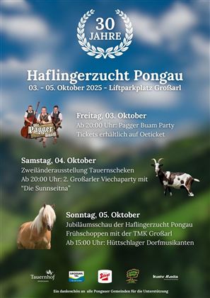 30 Jahre Haflingerzucht Pongau
