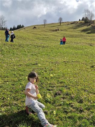 A girl is sitting on a meadow holding flowers in her hand. In the background, family members can be seen exploring the green space.