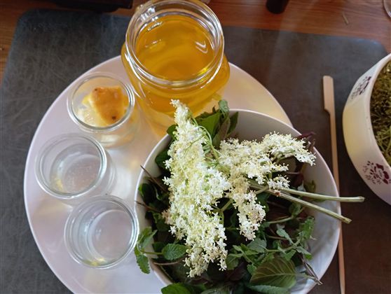 A bowl with fresh herbs and white flowers, surrounded by jars and a honey jar. The ingredients appear fresh and unprocessed.