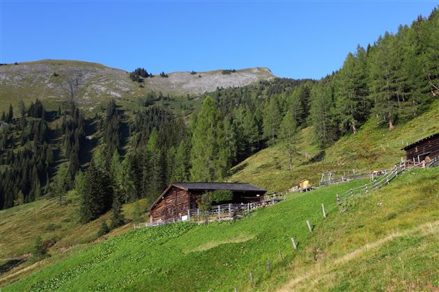Eine malerische Alm mit einer Holzscheune in einer grünen Berglandschaft. Hohe Bäume und sanfte Hügel vervollständigen die Idylle.