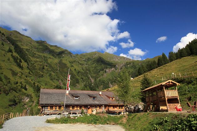 Ein malerisches Almhaus umgeben von grünen Bergen und einer blauen Himmel. Der typische alpenländische Charme vermittelt eine friedliche Atmosphäre.