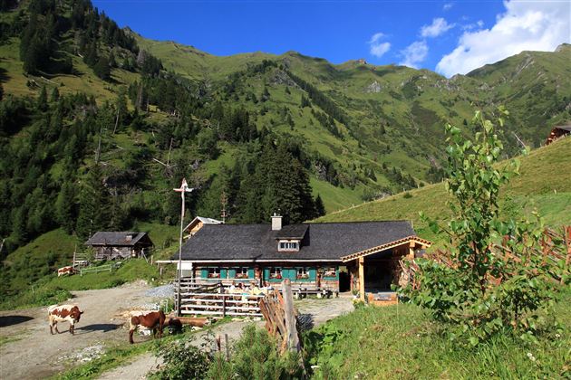 Eine malerische Berghütte umgeben von grünen Wiesen und hohen Bergen. In der Nähe grasen ein paar Kühe unter einem blauen Himmel.