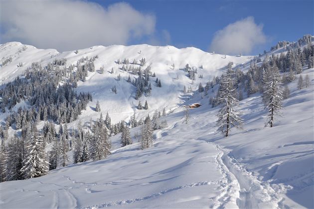 Loosbühelalm Winter