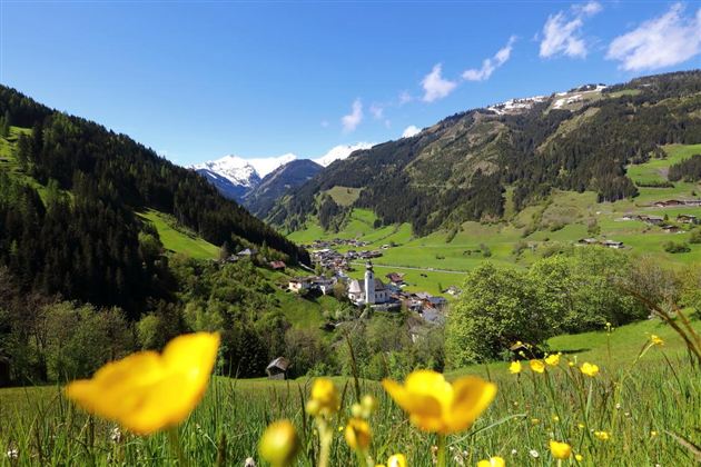 Eine malerische Berglandschaft mit grünen Wiesen und bunten Blumen. Im Hintergrund sind schneebedeckte Gipfel und ein kleines Dorf zu sehen.