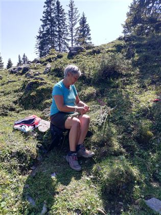 Eine Person sitzt auf einem Kopfsteinweg und arbeitet mit Pflanzen. Umgeben von grünen Hügeln und Bäumen unter einem klaren blauen Himmel.