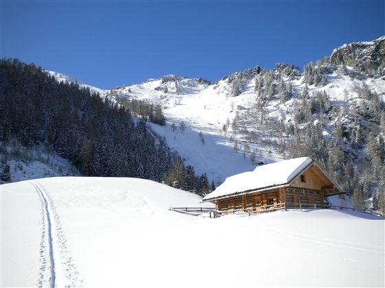 Schneeschuh Hirschgrubenalm