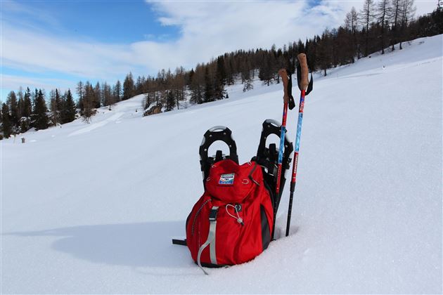 Schneeschuhwanderung