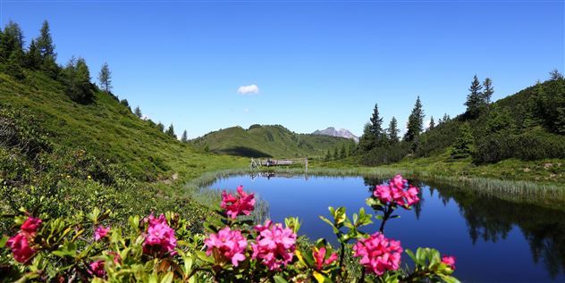 Trögseen