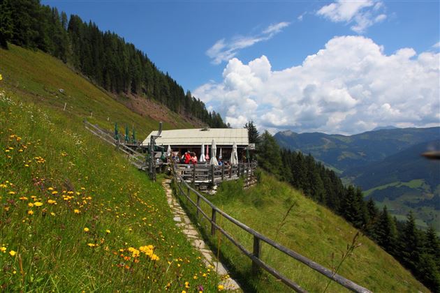 Viehhausalm