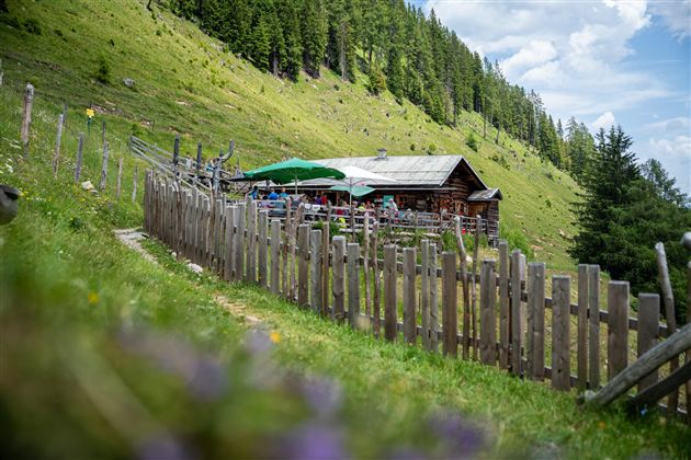 Eine gemütliche Almhütte liegt auf einer grünen Wiese, umgeben von Bäumen. Die Terrasse ist mit Tischen und Sonnenschirmen ausgestattet.
