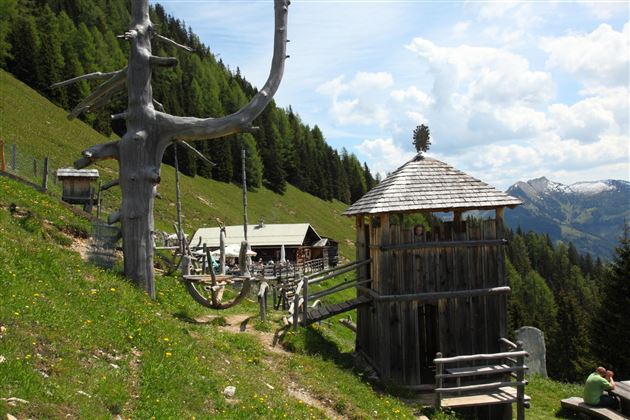 Viehhausalm mit Spielplatz