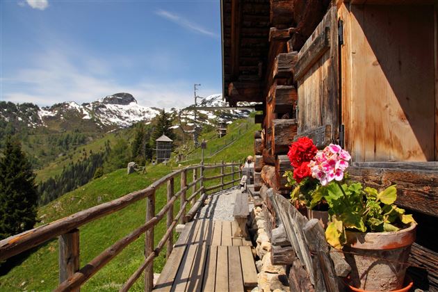 Viehhausalm Terrasse
