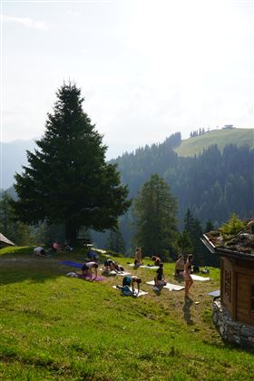 Eine Gruppe von Menschen übt Yoga im Freien auf einer Wiese. Im Hintergrund sind grüne Hügel und ein Waldbereich sichtbar.