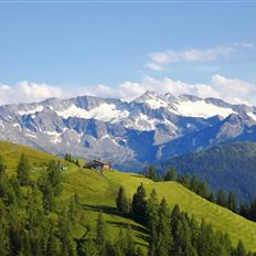 Taxi-Almfahrt zur Bichlalm, 1.731 m