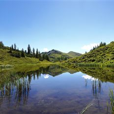 Geführte Wanderung