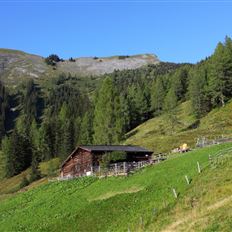 Live music at the Karseggalm