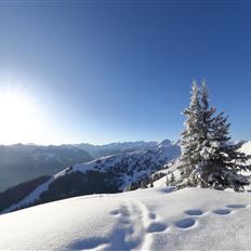 „Faladijo“ snow shoe hike