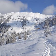 BERG-GESUND Snowshoe hike in the Ellmautal