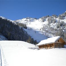 BERG-GESUND Snowshoe hike to the Hirschgrubenalm