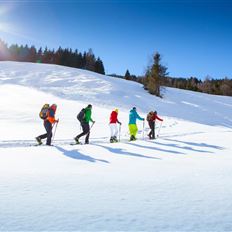 BERG-GESUND Snowshoe hike to the Hirschgrubenalm