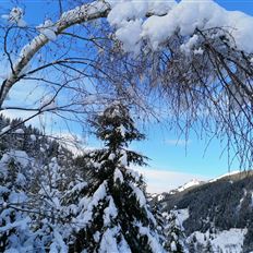 Faladijo - Round snowshoe hike to heavenly places