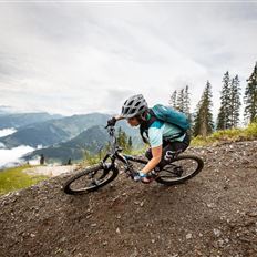 Singletrail Taster
