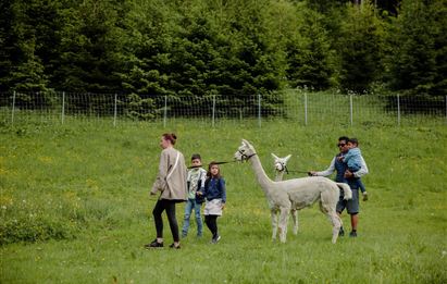 Alpaka-Wanderung mit Karin