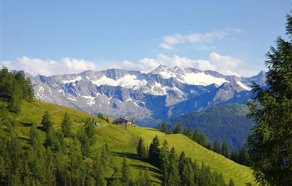 Taxi-Almfahrt zur Bichlalm, 1.731 m