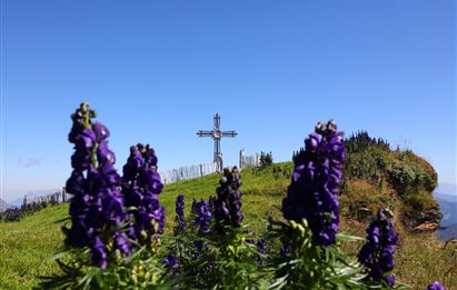 BERG-GESUND Bergtour auf den Frauenkogel