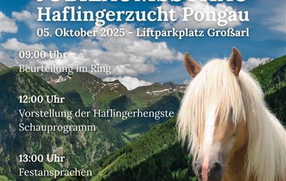 Eine Veranstaltung zur Jubiläumsschau der Haflingerzucht Pongau am 5. Oktober 2025. Das Bild zeigt ein Pferd vor einer malerischen Berglandschaft.