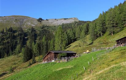 Live-Musik auf der Karseggalm