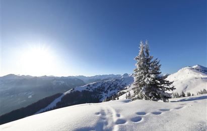 Faladijo´s Licht-Schneeschuhwanderung