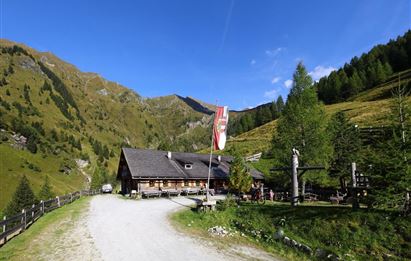 Taxi-Almfahrt zur Kreealm, 1.483 m