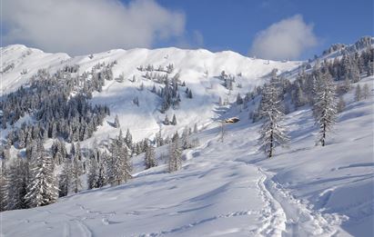 BERG-GESUND Snowshoe hike in the Ellmautal