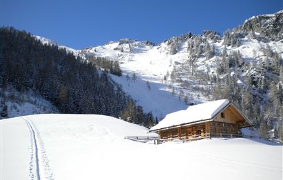 BERG-GESUND Schneeschuhwanderung zur Hirschgrubenalm