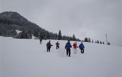 BERG-GESUND Snowshoe hike in the Ellmautal