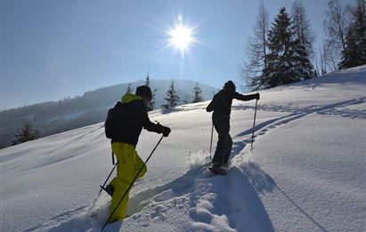 BERG-GESUND Snowshoe hike - trial - easy in Hüttschlag