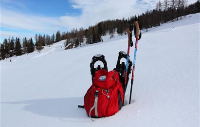 Trial snowshoe hike