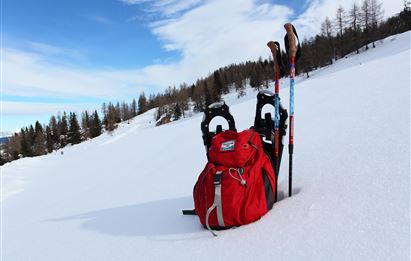 Faladijo - Glück-Schneeschuhwanderung zur Alm