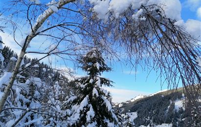 Faladijo - Schneeschuh Rundwanderung zu himmlischen Plätzen