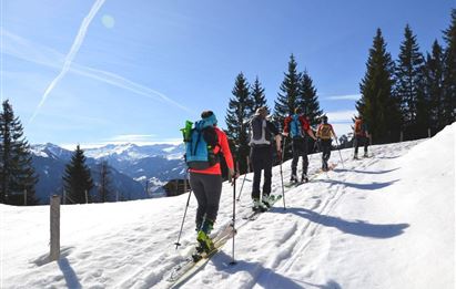 BERG-GESUND: Ski touring - trial - easy in Grossarl