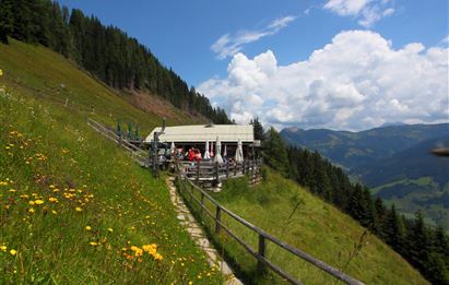 Geführte E-Bike & Hike-Tour zur Viehhausalm - Wetterkreuzsattel
