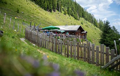 Eine gemütliche Almhütte liegt auf einer grünen Wiese, umgeben von Bäumen. Die Terrasse ist mit Tischen und Sonnenschirmen ausgestattet.