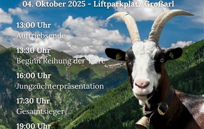 Eine Veranstaltung in Großarl zur Präsentation von Tauernschecken. Zu sehen sind eine Ziege und eine Berglandschaft im Hintergrund.