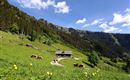 Aigenalm Paulhütte