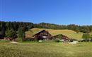 Ein charmantes Blockhaus in einer grünen Landschaft. Im Hintergrund erstrecken sich sanfte Hügel und Wälder unter klarem blauem Himmel.