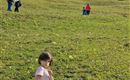 A girl is sitting on a meadow holding flowers in her hand. In the background, family members can be seen exploring the green space.