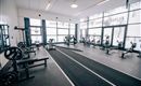 Ein modernes Fitnessstudio mit einer Vielzahl von Trainingsgeräten. Große Fenster sorgen für viel Tageslicht und eine motivierende Atmosphäre.