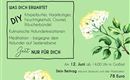 A professional workshop on the use of elderberry.  
Participants can experience DIY projects, culinary arts, and meditation.