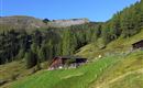 Eine malerische Alm mit einer Holzscheune in einer grünen Berglandschaft. Hohe Bäume und sanfte Hügel vervollständigen die Idylle.